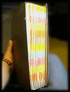 photo02