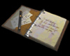 diario jefe file