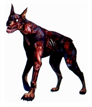 cerberus ene