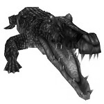 alligator