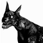 zdog