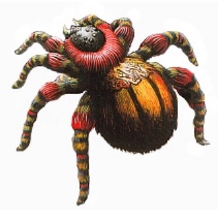 largespider ene