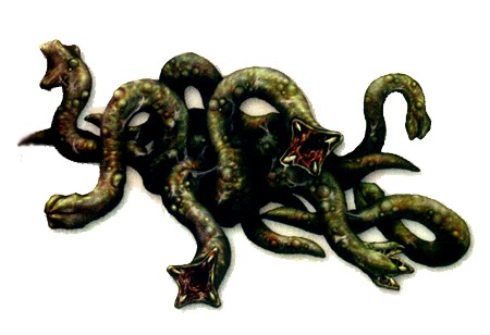slidingworm ene