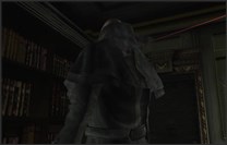 12 Ada Wong.mp4