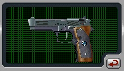 ds pistola