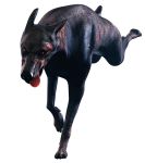 reorc-zombie-dog2