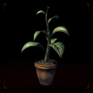 Hierba verde