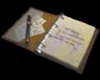 diario de lott