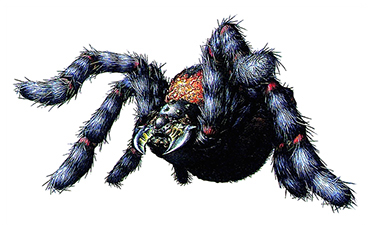 blacktiger survivor