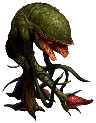 ivy survivor