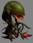 Plant_43_Ivy